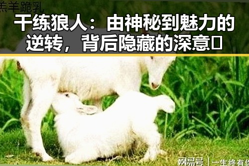 干练狼人：由神秘到魅力的逆转，背后隐藏的深意🤔