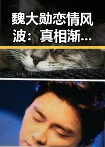 魏大勋恋情风波：真相渐明，娱乐圈再掀波澜