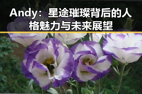 Andy：星途璀璨背后的人格魅力与未来展望